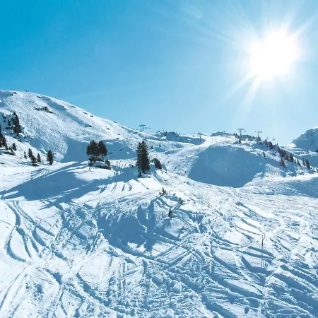 Waidachhof 309s Apartment Ramsau im Zillertal